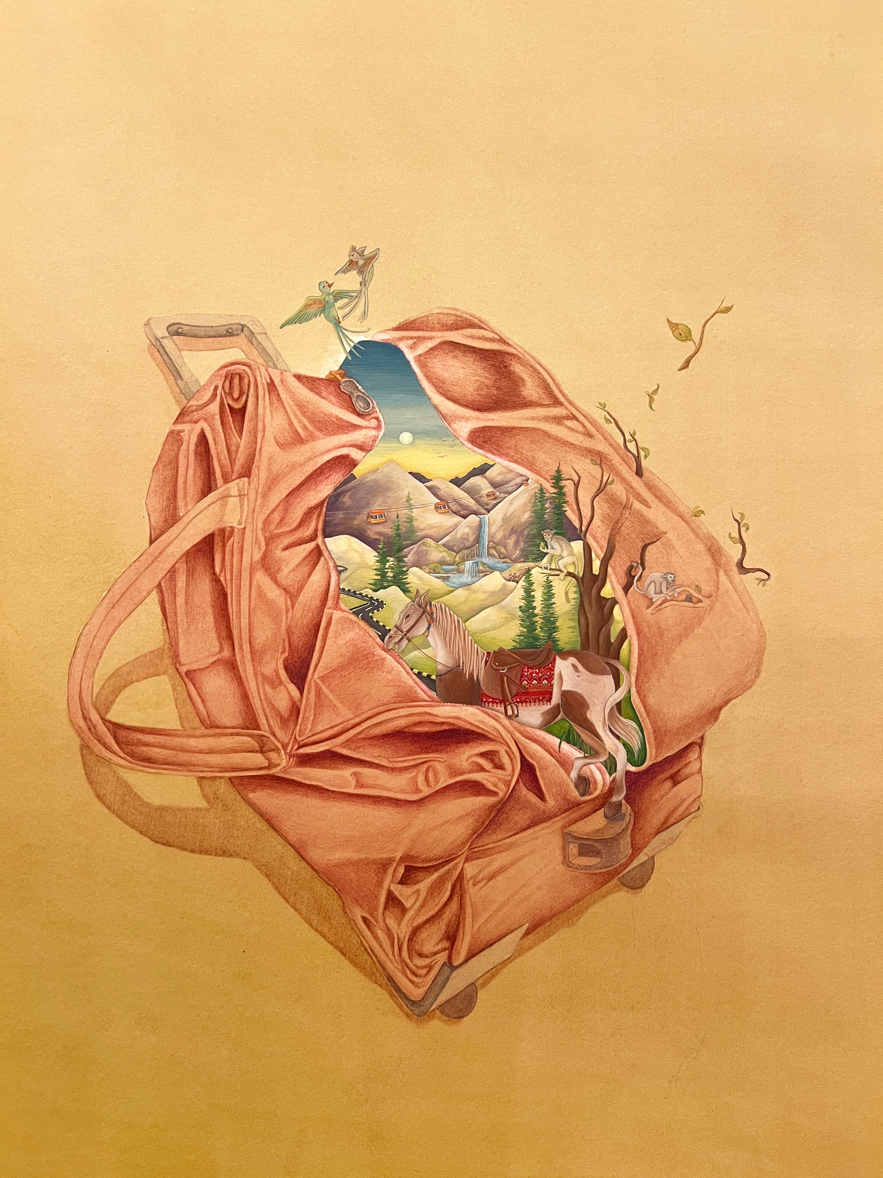 Selected Variant Image