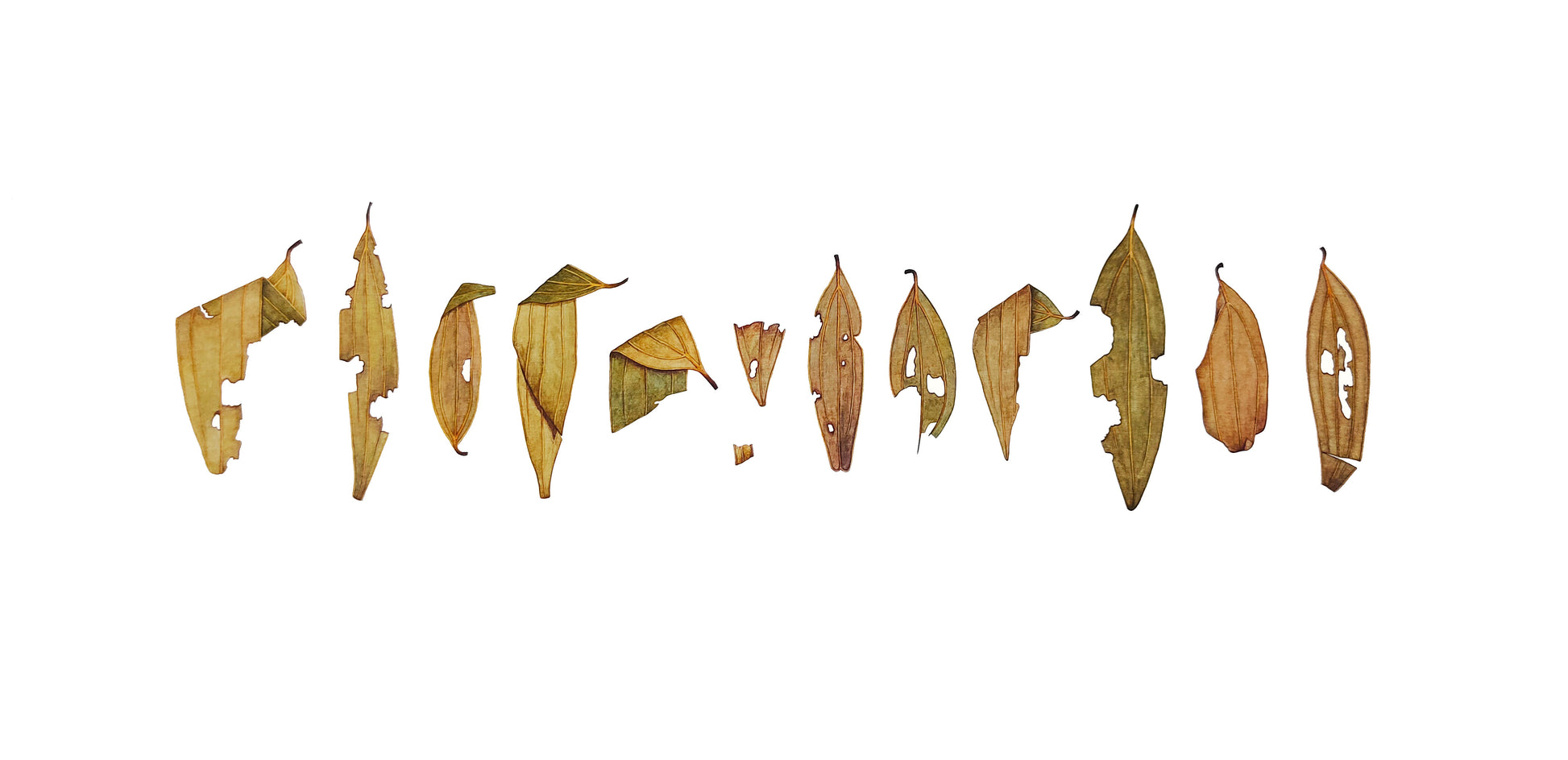 Precious Holy Leaves by Beenish Ahmed Saraz, watercolour on Wasli painting